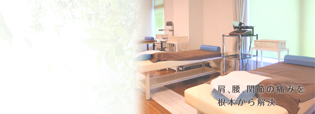 肩、腰、関節の痛みを根本から解決